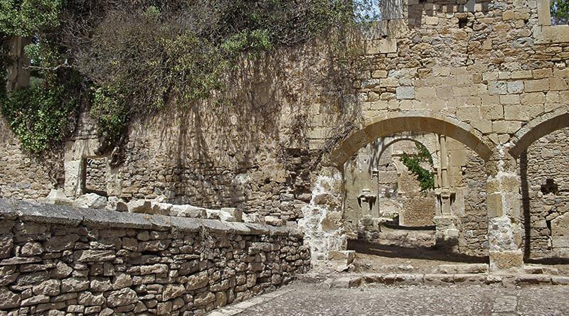 Ruinas del monasterio de Leo Seko