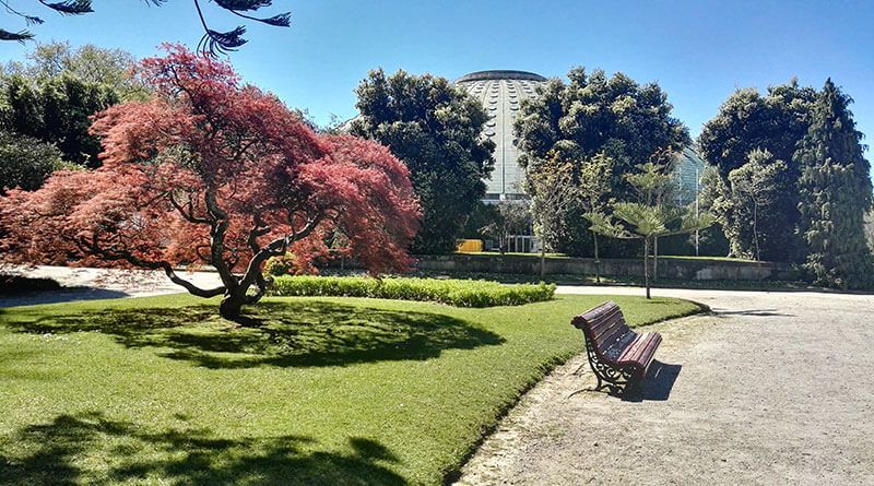 Qué hacer y visitar en el Jardín Botánico de Oporto