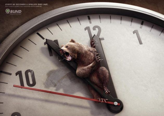 Las especies mueren cada 60 segundos