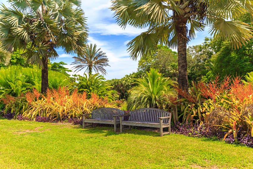 Jardín Botánico Tropical Fairchild, Miami, Florida, EE. UU.