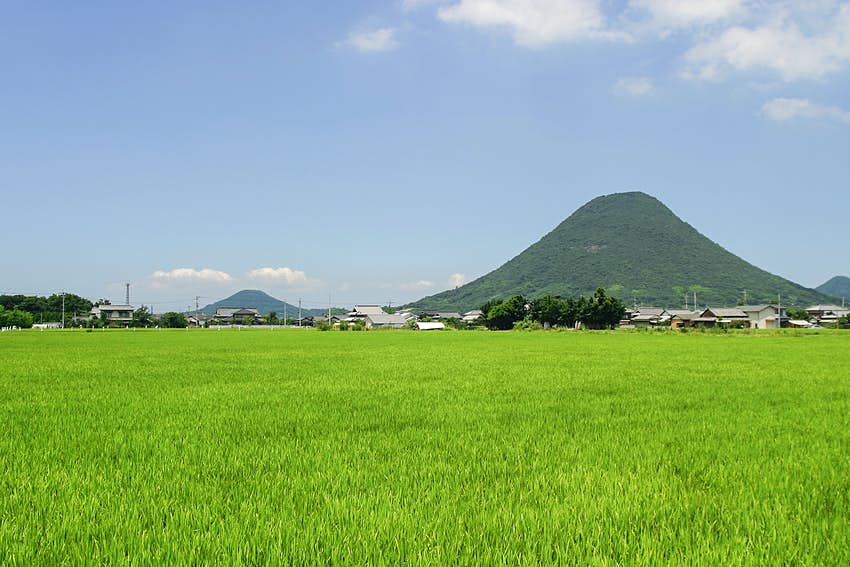 Monte Inoyama en la distancia frente a un vasto campo de arroz. 