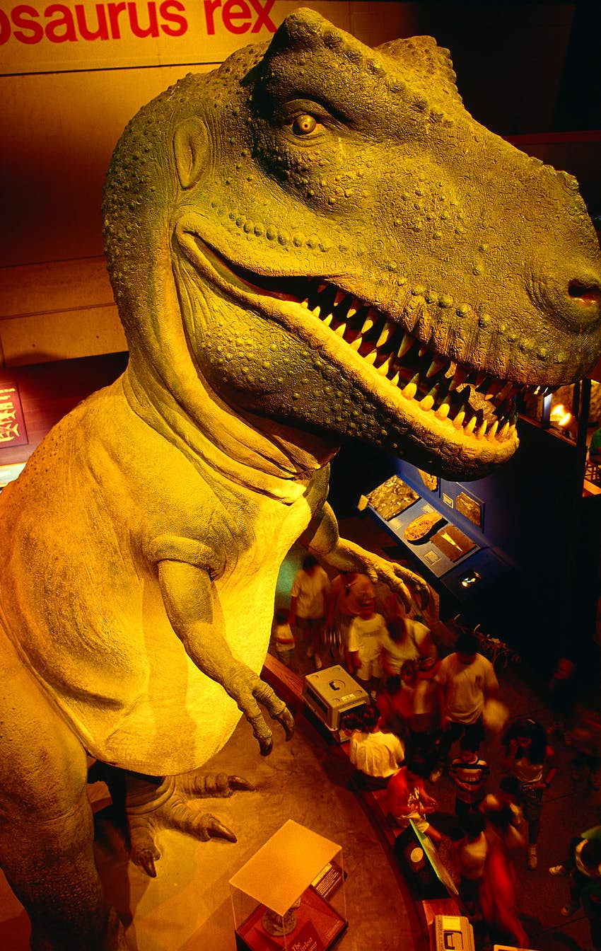 Un modelo de un dinosaurio gigante se eleva sobre la gente en la galería.