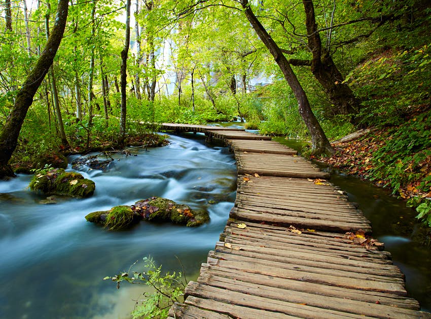 Un paseo corre a lo largo de un arroyo que fluye en una zona boscosa