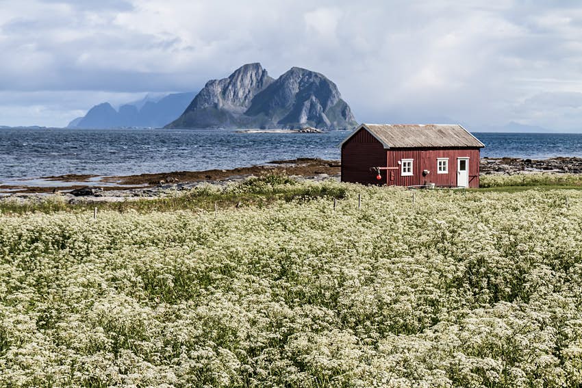 Vista de verano de la isla de Vaeroy, Lofoten, Noruega 