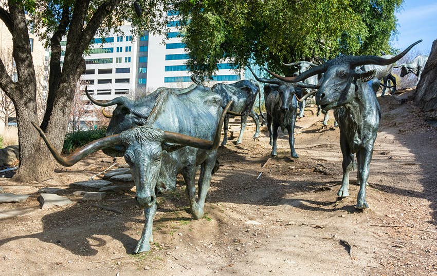 Escultura de un toro en Pioneer Square