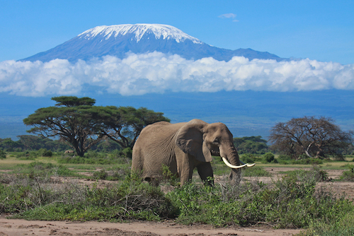 Kilimanjaro - la montaña más alta de África