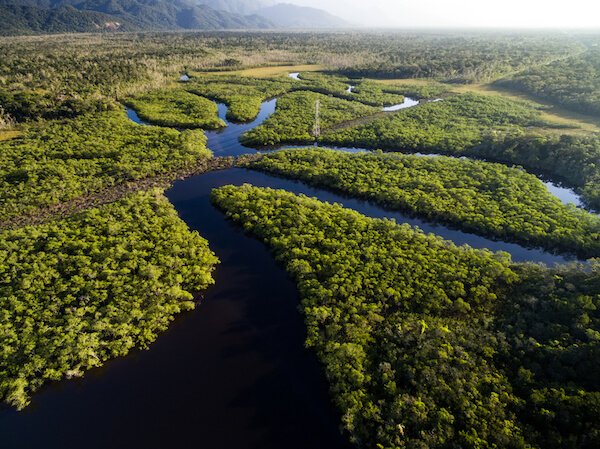 Vista aérea de la selva amazónica en Brasil